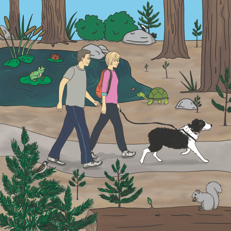 Flapjack takes a stroll through the woods on his leash with his people parents, while a frog, turtle and squirrel watch them pass by.