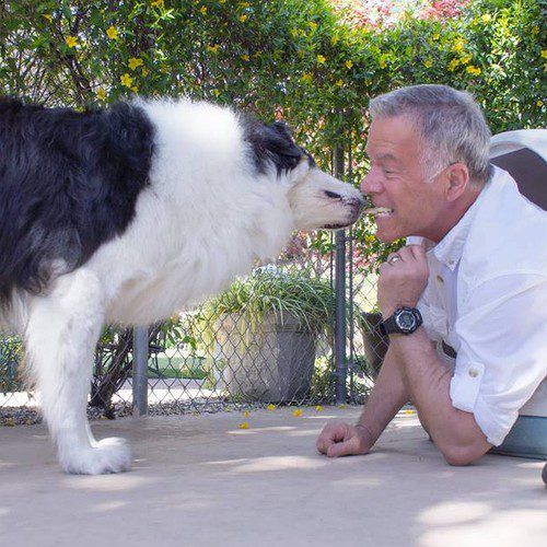 flapjack-dan-nose-to-nose-500 - The Adventures of Flapjack Dan and Flapjack kidding around outside Flapjack's dogloo, as Dan offers him a biscuit held between his teeth and Flapjack gently takes it